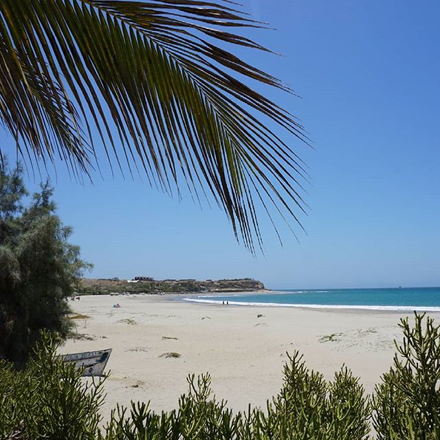 The sand on the beaches @peru is white and fine, the sky is always clear blue and the sea is warm all year round ✌🌴💙
------------------------------------------------------------------------------------------------------------------------------------------------------------------------------------ #Peru #vakantie #reizen #zuidamerika #southamerica #peruhetrijksteland #peruanas #peru🇵🇪 #madeinperu #vamosperú #visitperu #travelperu #southamericatravel  #traveladdict #hechoenperu #sp #ad