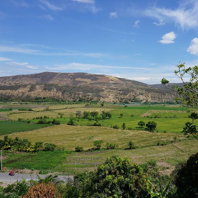 Did you know @peru is home to 25,000 plant spieces and 5,000 species of fish! There  are 90 different microclimates in Peru.  So Peru has it all✌
----------------------------------------------------------------------------------------------------------------------------------------------------------------------------------- #peru #peruhetrijksteland #bezoekperu #vakantie #reizen #zuidamerika #viajar #travel #visitperu #madeinperu #vamosperú #travelperu #discoverperu #sp #ad