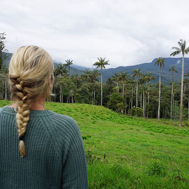 Leave your worries under the palm tree @peru ....🌴🌴
----------------------------------------------------------------------------------------------------------------------------------------------------------------------------------- #peru #peruhetrijksteland #bezoekperu #vakantie #reizen #zuidamerika #southamerica #peru🇵🇪 #visitperu #vamosperú #madeinperu #hechoenperu #southamericatravel #traveladdict #travelperu #sp #ad