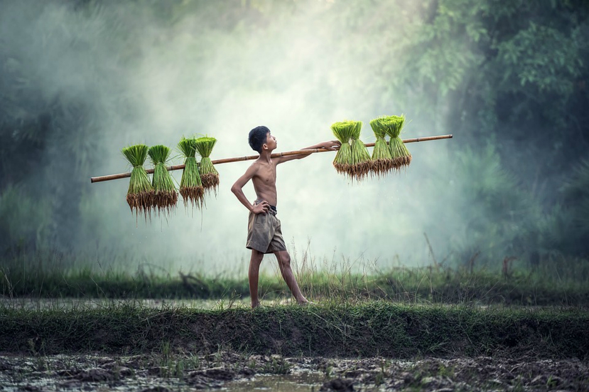 Cambodja