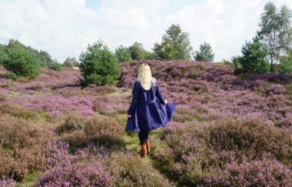 veluwe