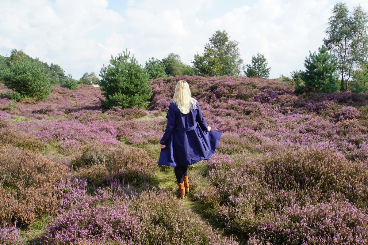 veluwe