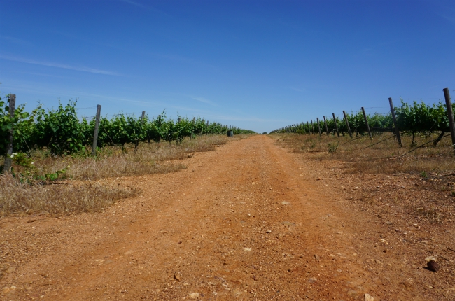 roadtrip door Alentejo, Een roadtrip door Alentejo! Waar moet je heen?
